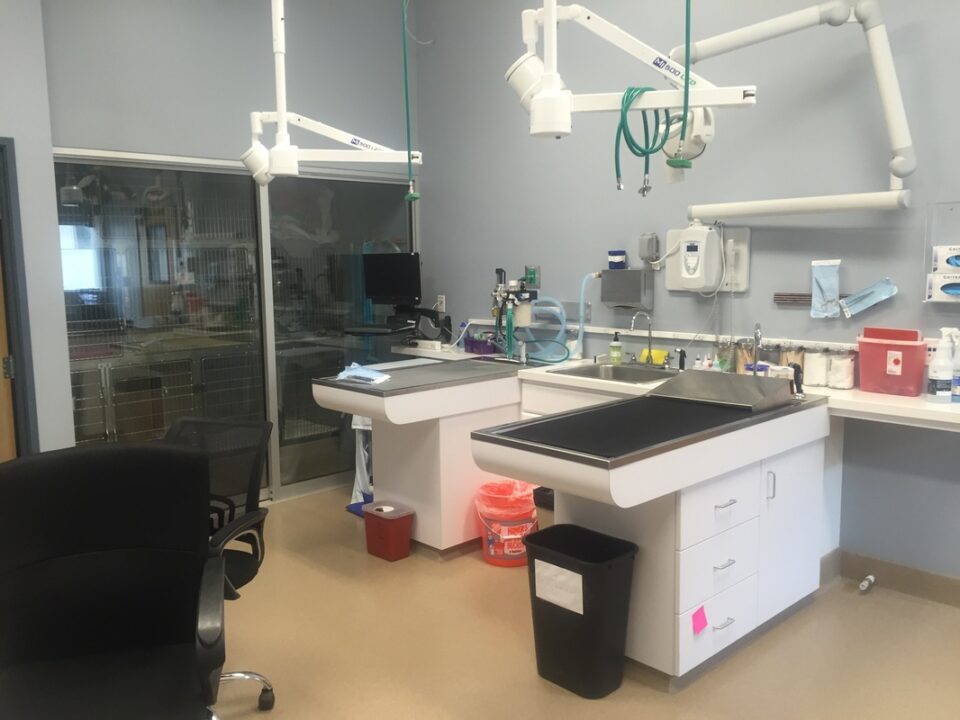 Veterinary surgery room